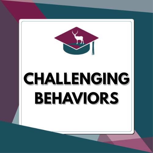 Challenging Behaviors