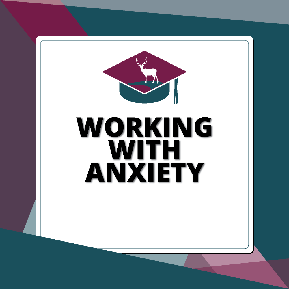 Working with Anxiety
